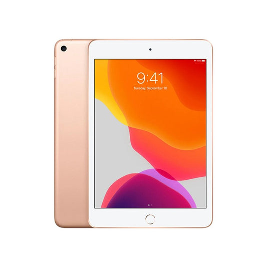 Used iPad Mini 5th Generation (2019) WiFi + 4G